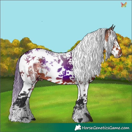 Horse Color:Brown Sabino Splash Tobiano 