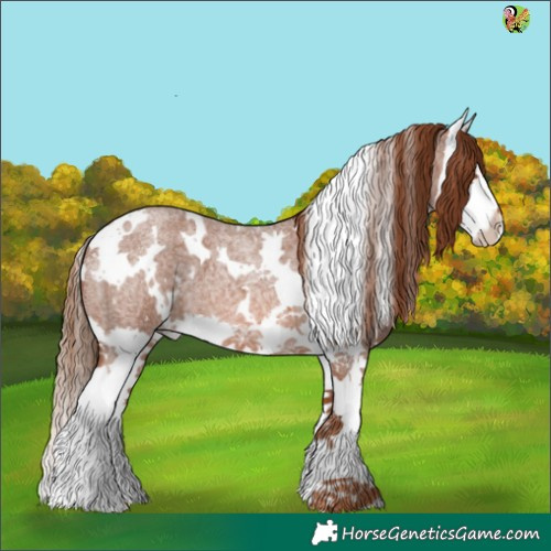 Horse Color:White Spotted Red Roan Splash 