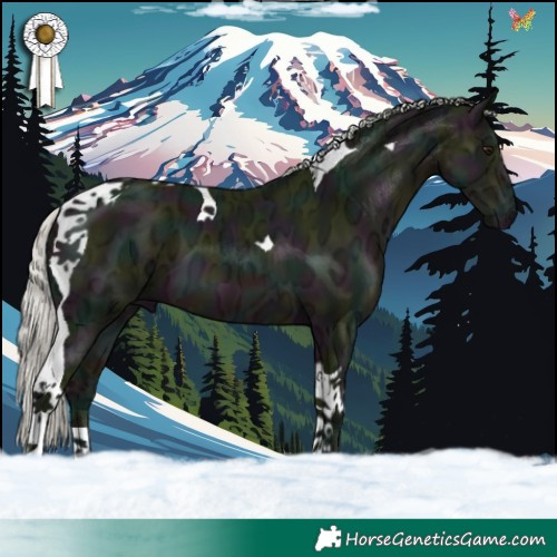Horse Color:Watercolor Midnight Silver Brown Ice Tobiano 