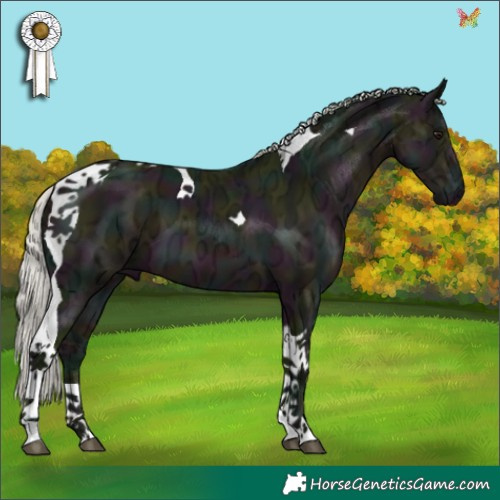 Horse Color:Watercolor Midnight Silver Brown Ice Tobiano 