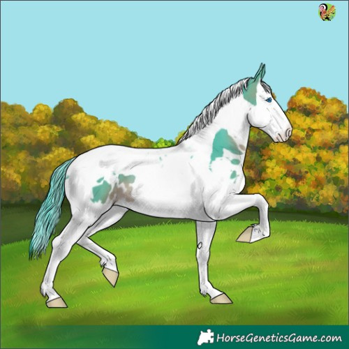 Horse Color:Watercolor White Spotted Brown Splash Tobiano 