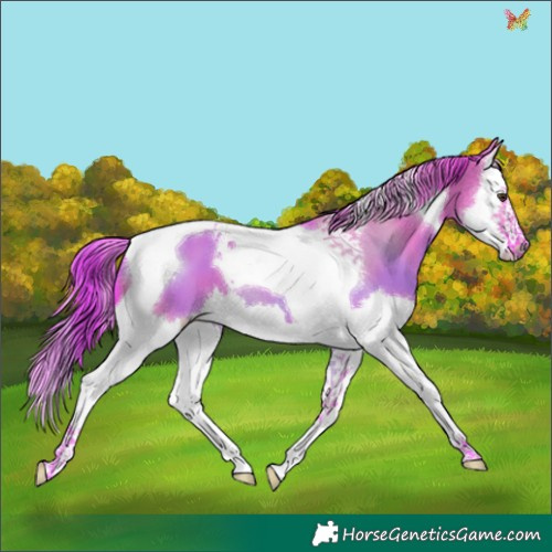 Horse Color:Watercolor Liver Red Dun Splash Tobiano 