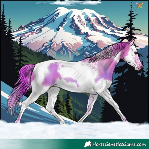 Horse Color:Watercolor Liver Red Dun Splash Tobiano 