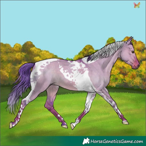 Horse Color:Watercolor Liver Red Dun Tobiano 