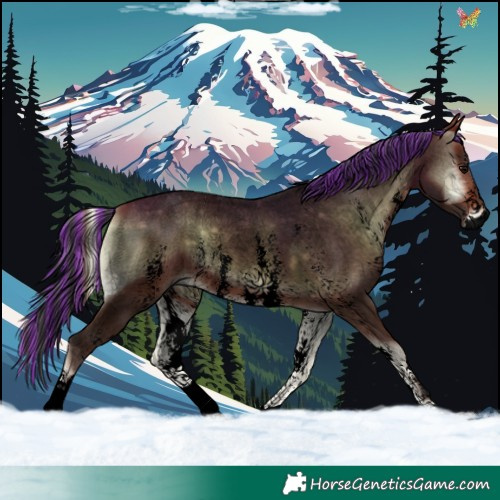 Horse Color:Void Painted Bay Roan Onyx Sabino 