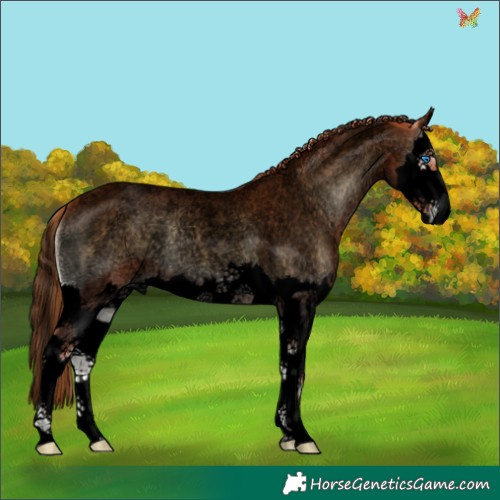 Horse Color:Void Red Onyx Roan Splash 