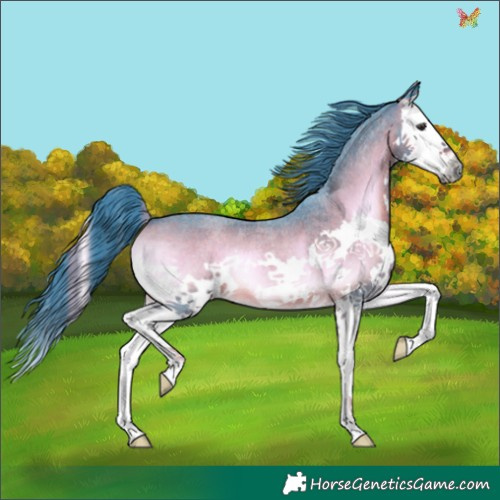 Horse Color:Watercolor Liver Red Onyx Roan Splash 