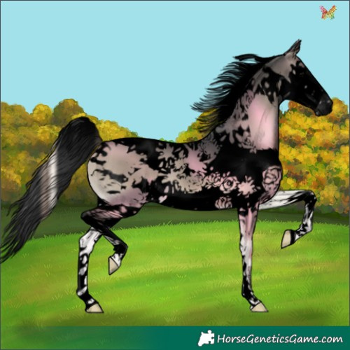 Horse Color:Void Blue Onyx Splash Tobiano 