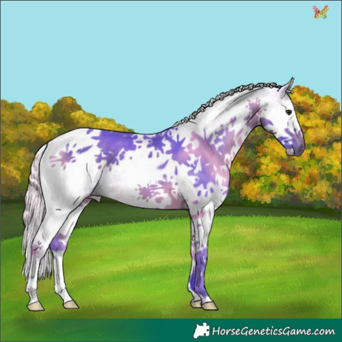 Horse Color:Watercolor White Spotted Silver Brown Splash Tobiano 