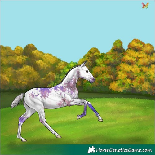 Horse Color:Watercolor White Spotted Silver Brown Splash Tobiano