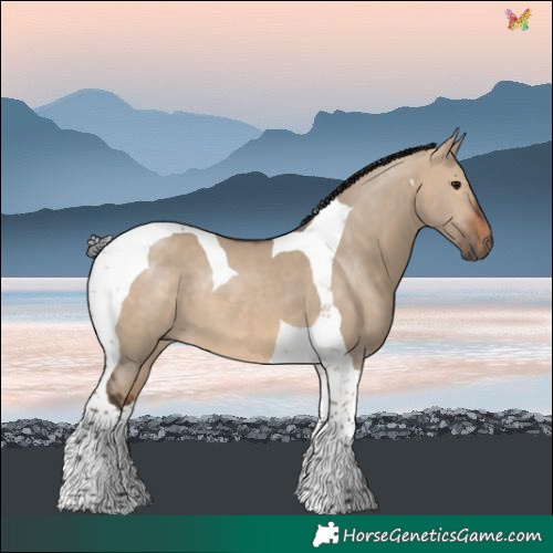 Horse Color:Brown Dun Tobiano 