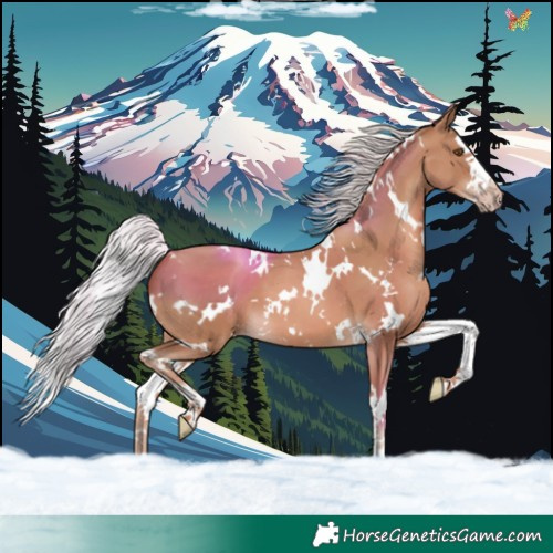 Horse Color:White Spotted Silver Classic Champagne Splash 