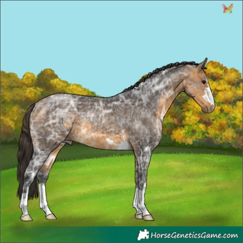 Horse Color:Buckskin Ice 
