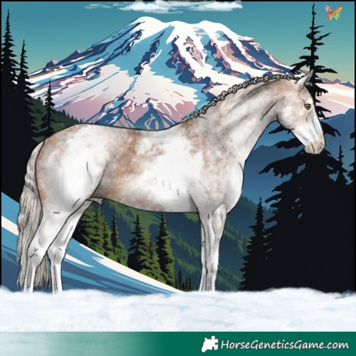 Horse Color:White Spotted Silver Bay Dun Rabicano 