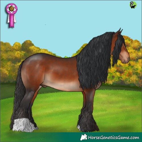 Horse Color:Brown 