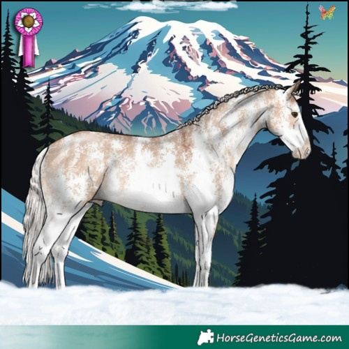 Horse Color:Silver Bay Dun Sabino Rabicano 