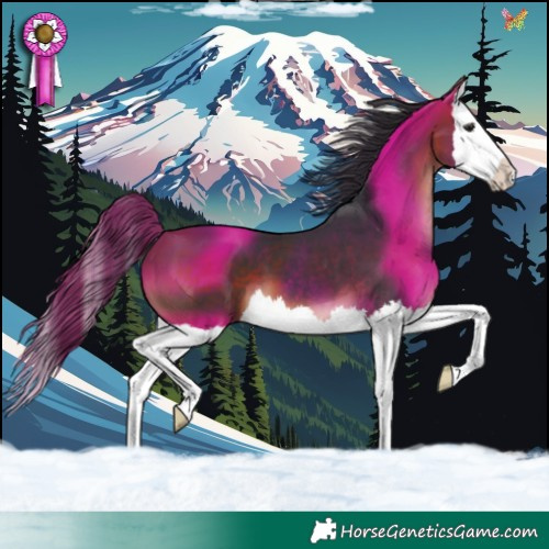Horse Color:Brown Splash 