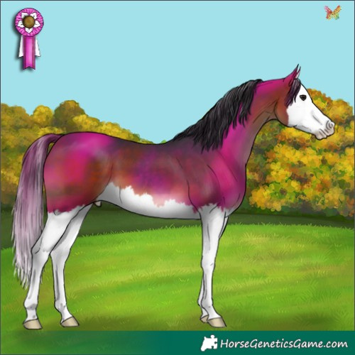 Horse Color:Brown Splash 