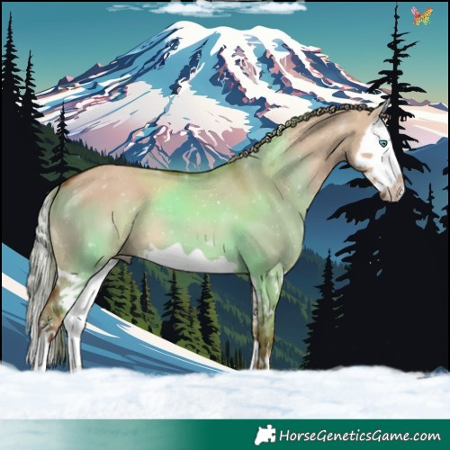 Horse Color:Red Dun Splash 
