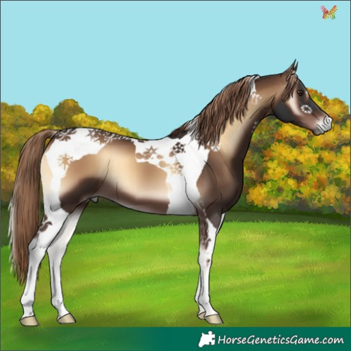 Horse Color:Liver Red Onyx Tobiano 