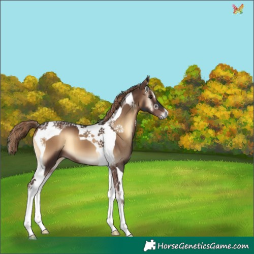 Horse Color:Liver Red Onyx Tobiano 