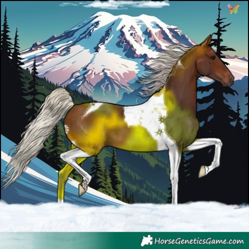 Horse Color:Silver Brown Tobiano 