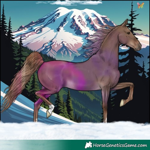 Horse Color:Liver Red Dun 