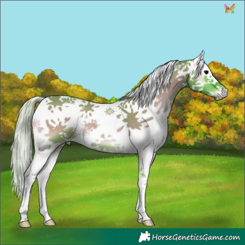 Horse Color:Watercolor White Spotted Silver Grullo Onyx Tobiano 
