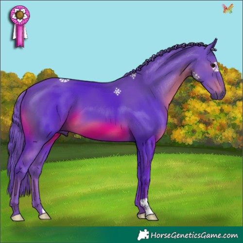 Horse Color:Watercolor Black 