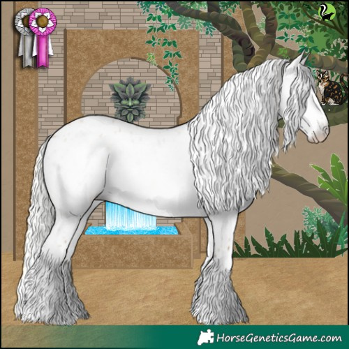 Horse Color:Gray Silver Perlino Dun Appaloosa 