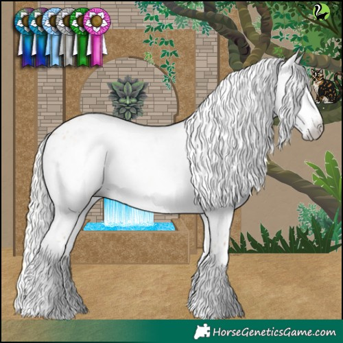 Horse Color:Gray Silver Perlino Dun Appaloosa 