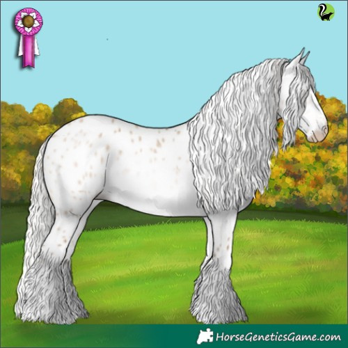 Horse Color:Gray Silver Perlino Dun Appaloosa 