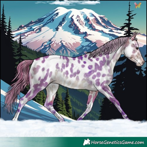 Horse Color:Watercolor Buckskin Dun Near Leopard 