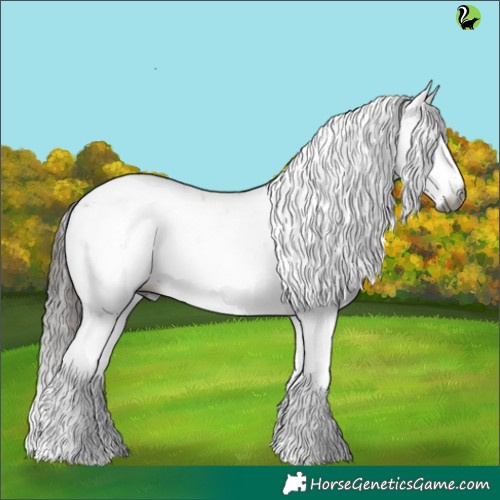Horse Color:Gray Liver Red Dun Sabino Appaloosa 