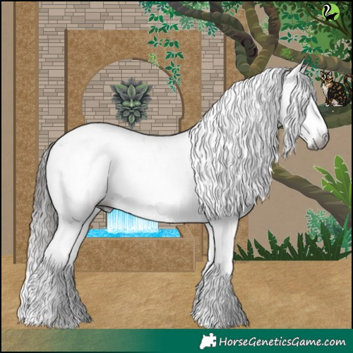 Horse Color:Gray Liver Red Dun Sabino Leopard 