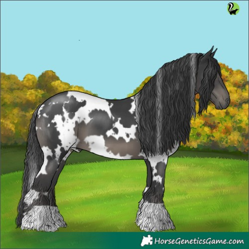 Horse Color:White Spotted Black 