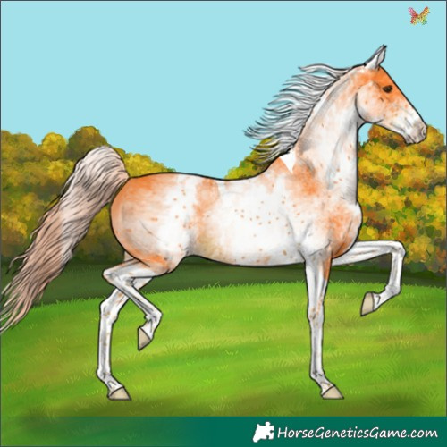 Horse Color:Watercolor White Spotted Liver Chestnut Tobiano 