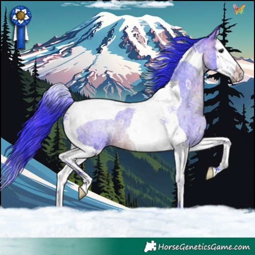 Horse Color:Watercolor Brown Roan Splash Tobiano 