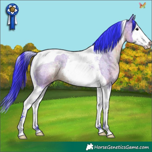 Horse Color:Watercolor Brown Roan Splash Tobiano 