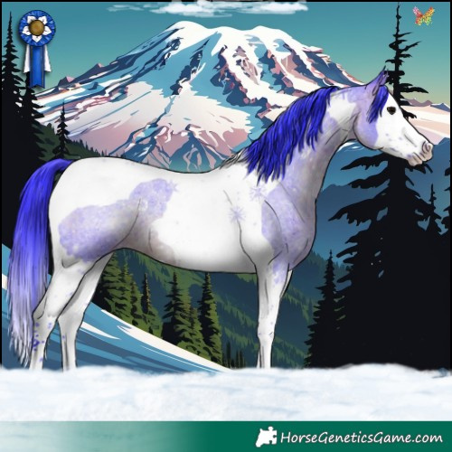 Horse Color:Watercolor Brown Roan Splash Tobiano 