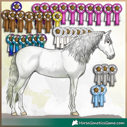 Horse Color:Gray Watercolor Red Onyx