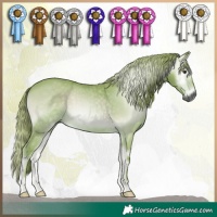 Horse Color:Gray Watercolor Red Onyx 