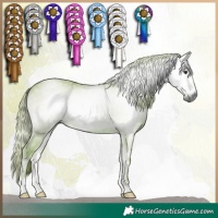 Horse Color:Gray Watercolor Red Onyx 