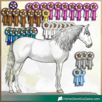 Horse Color:Gray Watercolor Red Onyx 