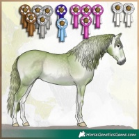 Horse Color:Gray Watercolor Red Onyx 