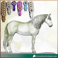 Horse Color:Gray Watercolor Red Onyx 
