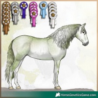 Horse Color:Gray Watercolor Red Onyx