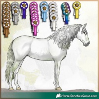 Horse Color:Gray Watercolor Red Onyx