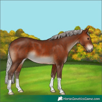Horse Color:Silver Brown 