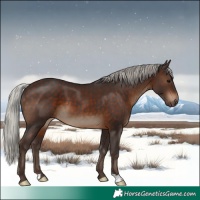 Horse Color:Silver Brown 